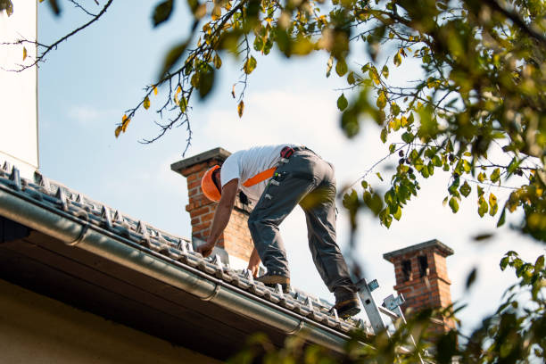 Best Best Roofing Contractors  in Monticello, MS